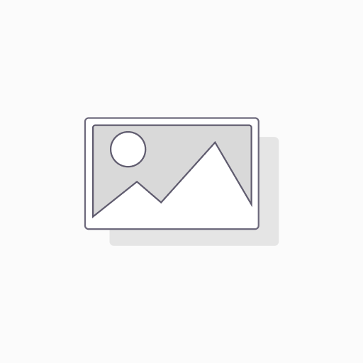 Hardware wallet W2
